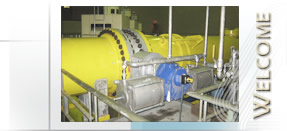 adams control valves