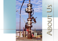 high temp valves