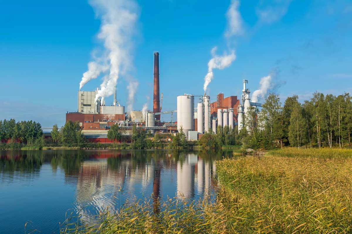 Pulp and paper mill