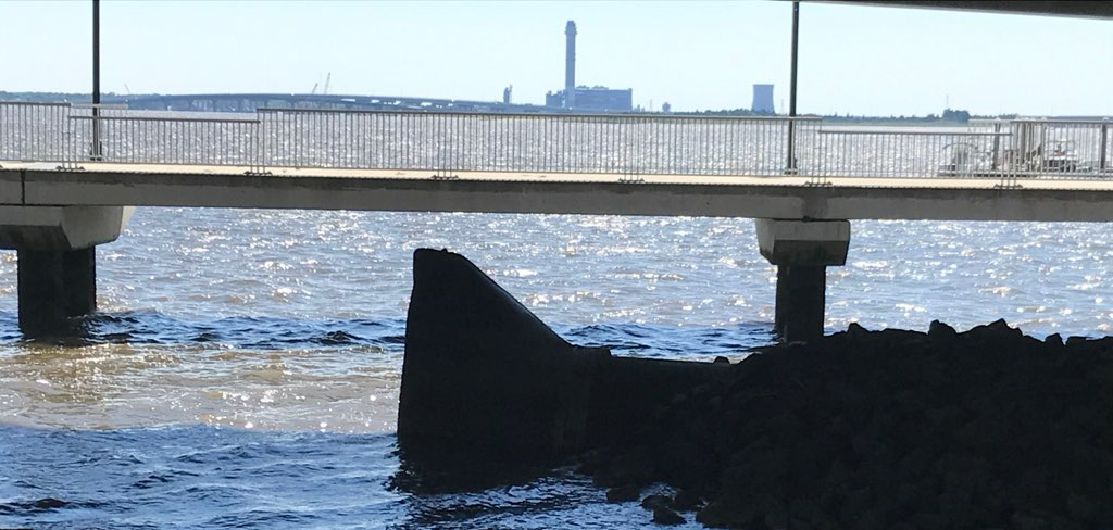 RED VALVE TIDEFLEX CHECK VALVE AT THE JERSEY SHORE IMG_0558 1024wX488Hpx